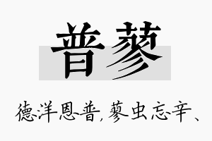 普蓼名字的寓意及含义