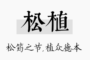 松植名字的寓意及含义