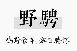 野骋名字的寓意及含义