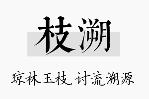 枝溯名字的寓意及含义