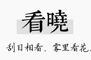 看晓名字的寓意及含义