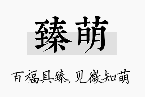 臻萌名字的寓意及含义