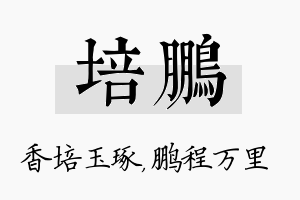 培鹏名字的寓意及含义