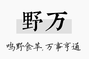 野万名字的寓意及含义