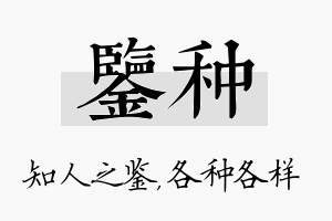 鉴种名字的寓意及含义