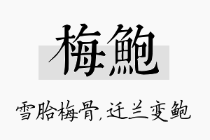 梅鲍名字的寓意及含义