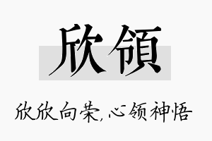 欣领名字的寓意及含义