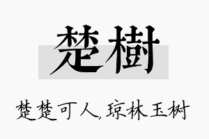 楚树名字的寓意及含义