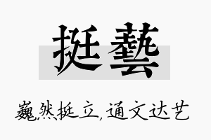 挺艺名字的寓意及含义