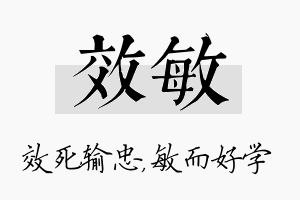 效敏名字的寓意及含义