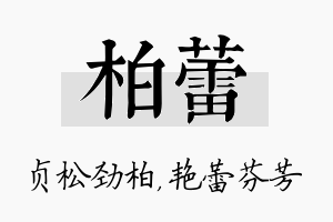 柏蕾名字的寓意及含义