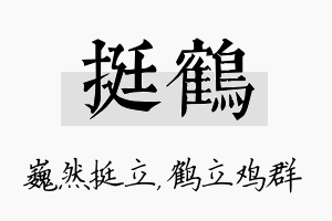 挺鹤名字的寓意及含义