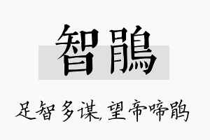 智鹃名字的寓意及含义