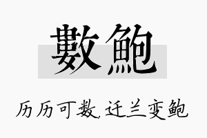 数鲍名字的寓意及含义