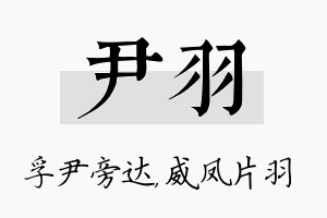 尹羽名字的寓意及含义