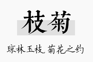 枝菊名字的寓意及含义