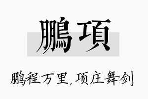 鹏项名字的寓意及含义