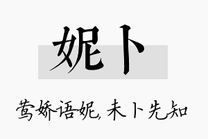 妮卜名字的寓意及含义