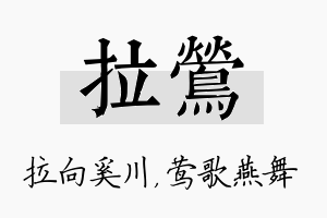 拉莺名字的寓意及含义