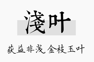 浅叶名字的寓意及含义