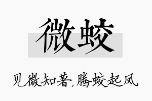 微蛟名字的寓意及含义