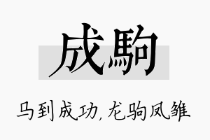 成驹名字的寓意及含义