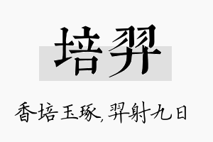 培羿名字的寓意及含义