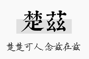 楚兹名字的寓意及含义