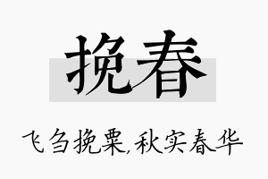 挽春名字的寓意及含义