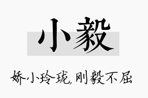 小毅名字的寓意及含义