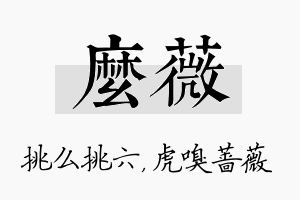 么薇名字的寓意及含义