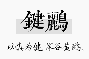 键鹂名字的寓意及含义