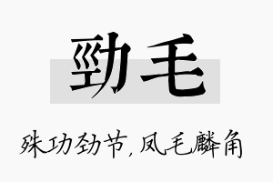 劲毛名字的寓意及含义