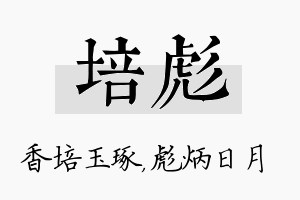 培彪名字的寓意及含义