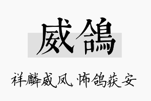 威鸽名字的寓意及含义