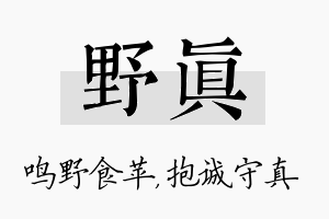 野真名字的寓意及含义