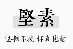 坚素名字的寓意及含义