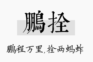 鹏拴名字的寓意及含义