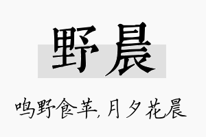 野晨名字的寓意及含义