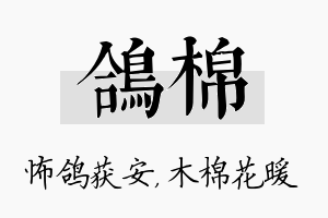 鸽棉名字的寓意及含义