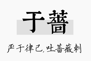 于蔷名字的寓意及含义