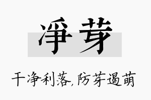 净芽名字的寓意及含义