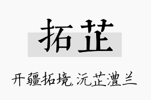 拓芷名字的寓意及含义