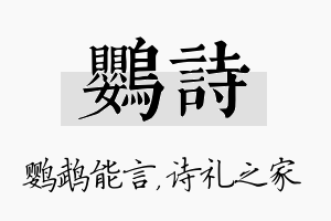 鹦诗名字的寓意及含义