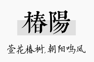 椿阳名字的寓意及含义