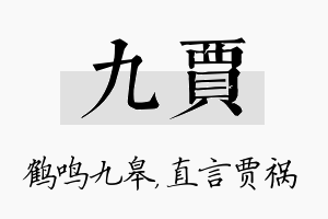 九贾名字的寓意及含义