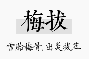 梅拔名字的寓意及含义