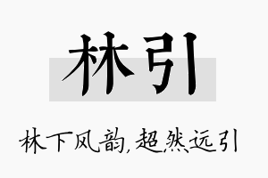 林引名字的寓意及含义