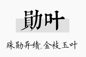 勋叶名字的寓意及含义