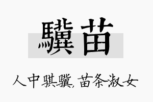 骥苗名字的寓意及含义